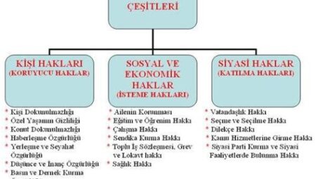 İnsan Hakları ve Sosyal Yardımlar: Temel İhtiyaçların Karşılanması ve Hakların Korunması