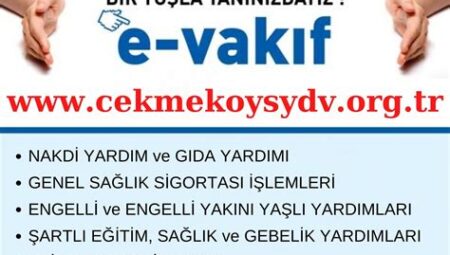 Sosyal Yardımlaşma ve Dayanışma Vakıfları: Yerel Düzeyde Yardım Ağları